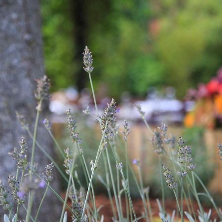 Podere La Miniera Relax & Food Siena Bagian luar foto